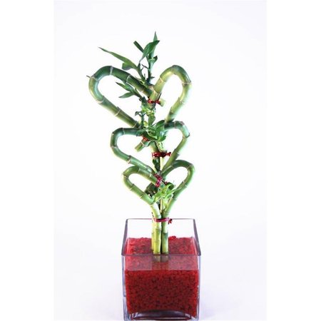 VISTA 3 Staggered Triple Heart Bamboo & Red Rock Container VI2626627